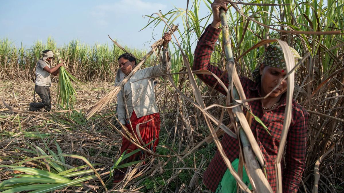 “Donne sterilizzate.” Coca-Cola e Pepsi nei guai. Cosa hanno combinato (questa volta) i due giganti USA (VIDEO)