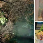 Coppia trovata morta nella tenda, lei incinta di 8 mesi. Scoperta shock: “Cosa li ha uccisi”