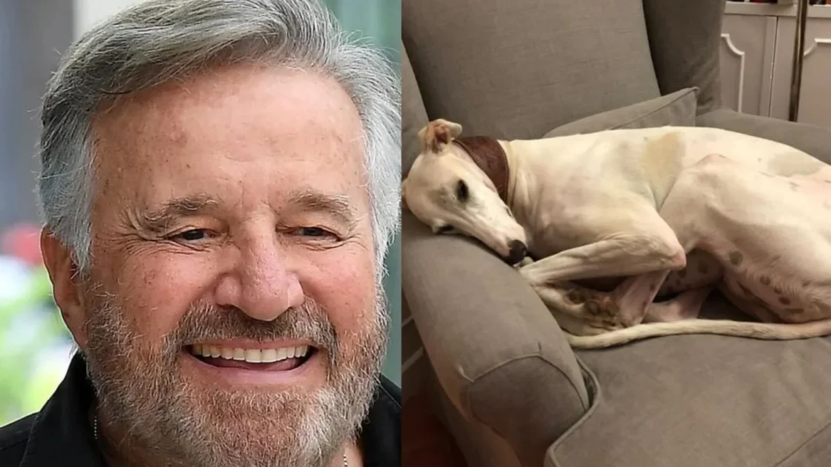 Christian De Sica e il ricordo della cagnolina Meri