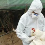 “Il primo in Europa!”. Contagiato un uomo in Italia: il virus che fa paura