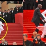 Timothée Chalamet è caduto agli Oscar 2026? La verità dietro il video virale che ha ingannato i social