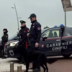 Maxi blitz dei Carabinieri nella notte: 17 arresti, droga sequestrata e oltre 40 denunce