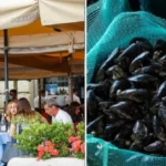 Epatite A a Napoli non si ferma: 51 ricoverati al Cotugno, 14 nuovi casi in un giorno. Allarme per le pescherie