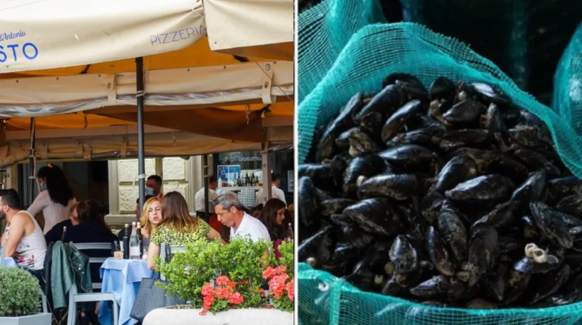 epatite a napoli pescherie