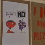 Referendum giustizia, scoppia la polemica nella scuola che diventa seggio