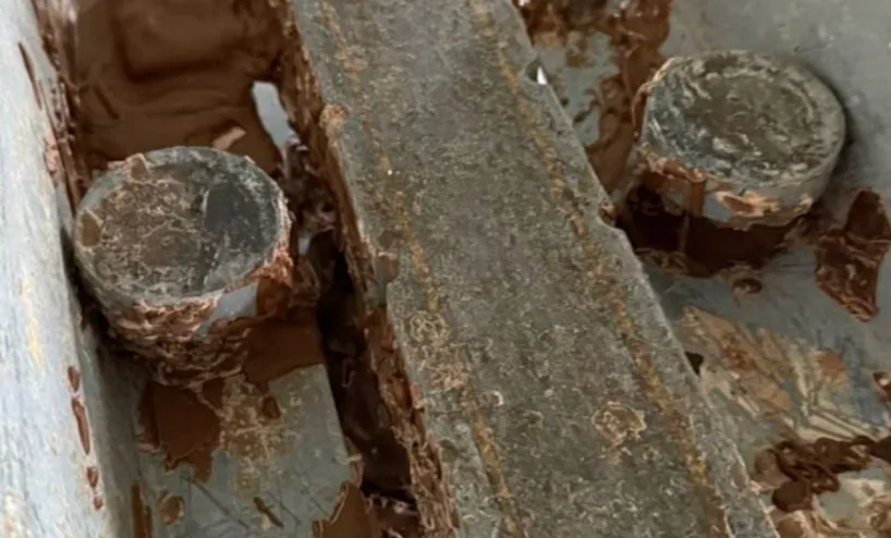 Uova di Pasqua con vermi: choc in gita scolastica, chiusa fabbrica di cioccolato in Irpinia