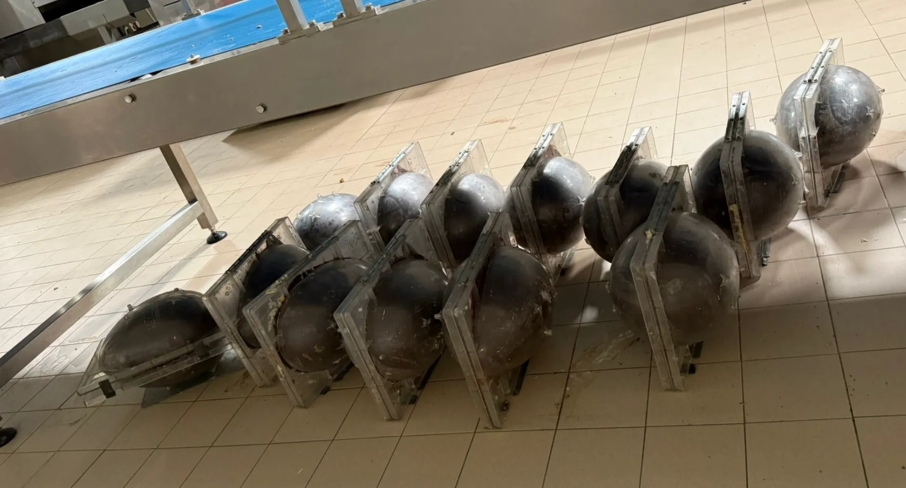 Uova di Pasqua con vermi: choc in gita scolastica, chiusa fabbrica di cioccolato in Irpinia