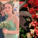 Cos’è la ricina, il veleno che ha ucciso mamma e figlia a Natale: “Senza pietà, ecco perché”