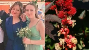 Cos’è la ricina, il veleno che ha ucciso mamma e figlia a Natale: “Senza pietà, ecco perché”