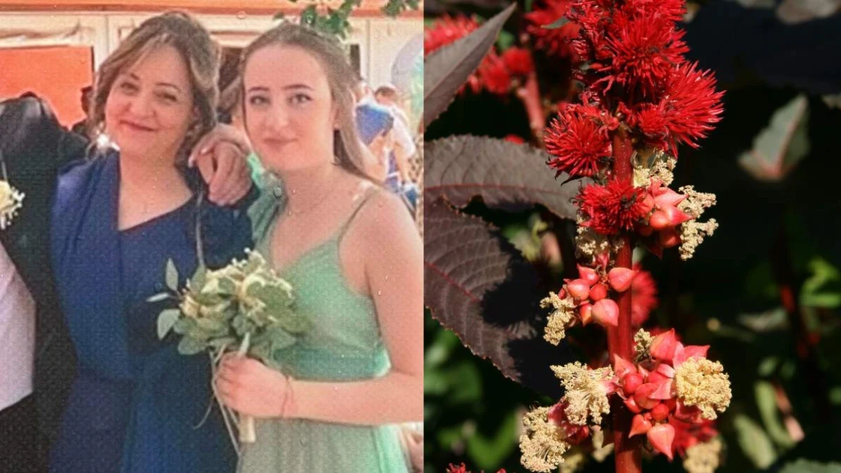 Cos’è la ricina, il veleno che ha ucciso mamma e figlia a Natale: “Senza pietà, ecco perché”