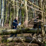 Pasqua, albero cade sulla festa: tre morti, anche una bambina di 10 mesi!
