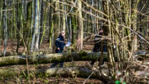 Pasqua, albero cade sulla festa: tre morti, anche una bambina di 10 mesi!