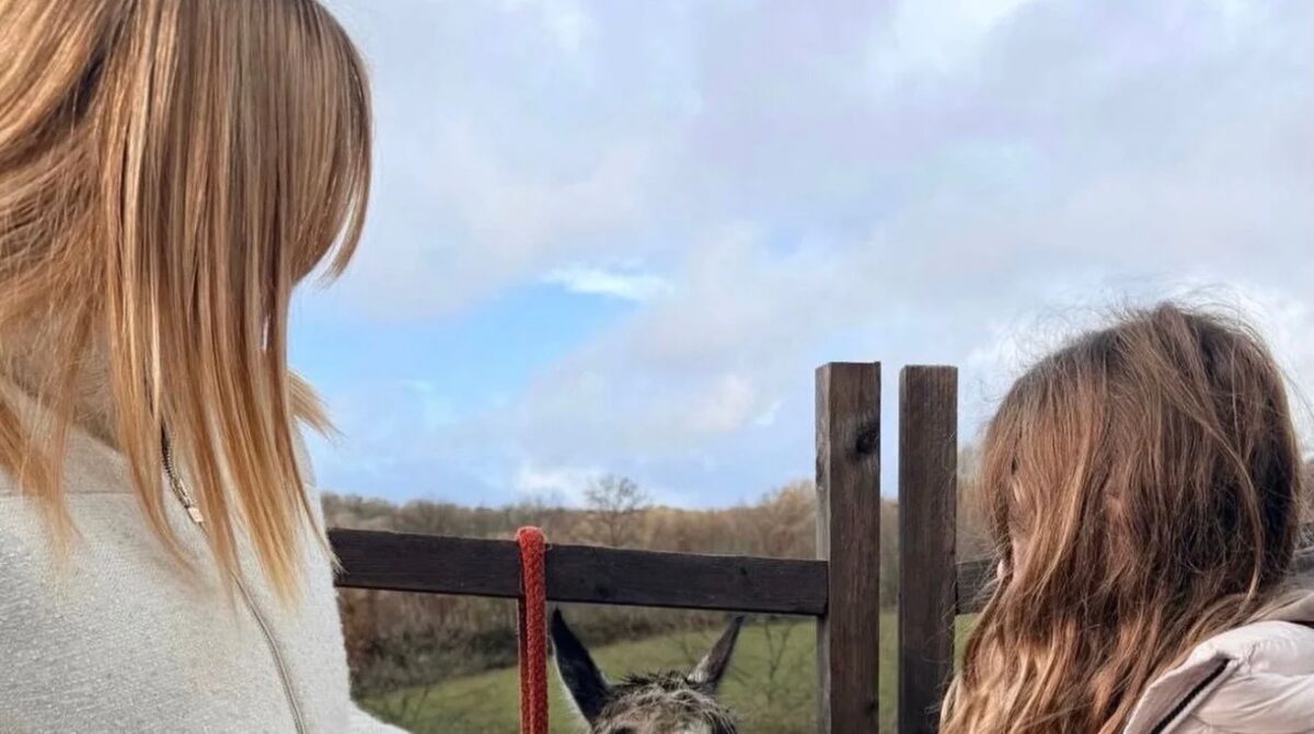 Auguri di Pasqua di Meloni: bufera sotto al post