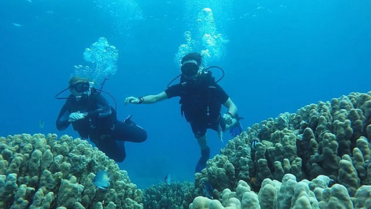 Immersioni subacquee alle Maldive