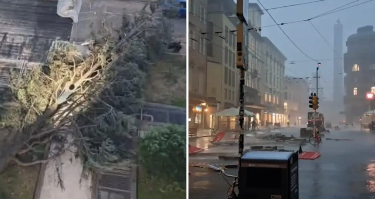 Maltempo devastante, c’è anche una vittima: alberi abbattuti e caos in diverse città